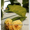 Horticulture 019.jpg
