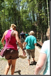 IMG_3881 IMG_3881
