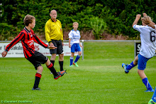 20140614 - WVV D4 - BATO TOERNOOI - 026.jpg