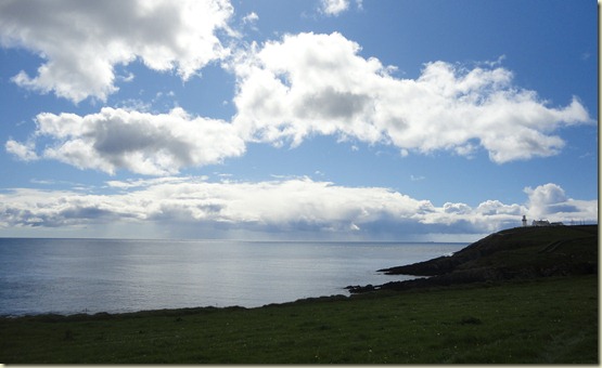 01.Galley Head