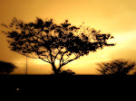 iPhonegraphy