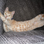 DSCN4369.jpg