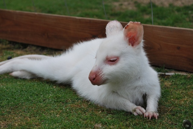 [DSC_0018%255B6%255D.jpg]