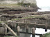 exploring the beach at low tide