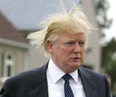 [trump-the-donalds-hair3.jpg]