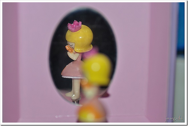 DSC_6559 DSC_6559