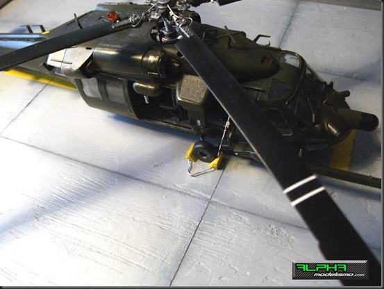 Black Hawk-8
