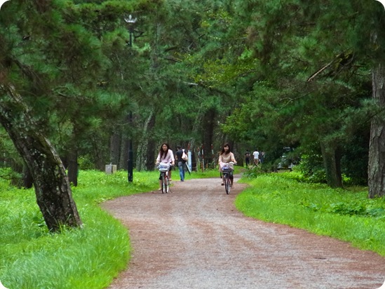 Cruzando amanohashidate en bicicleta