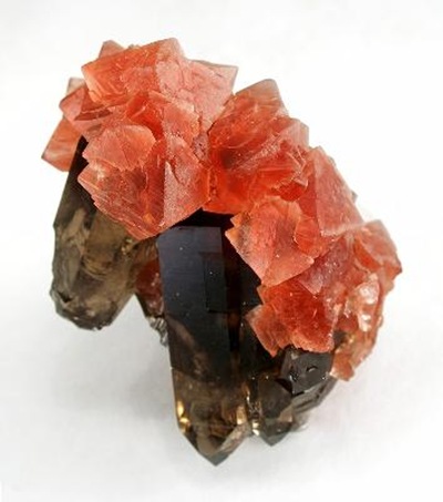 Minerals Tumblr - Fluorite on Smoky Quartz