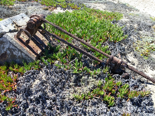 Abandoned Military Winch