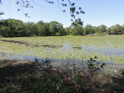 [MemorialDayBikeRide%2520011%255B9%255D.jpg]