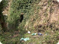 rondella_della_grotta rondella_della_grotta