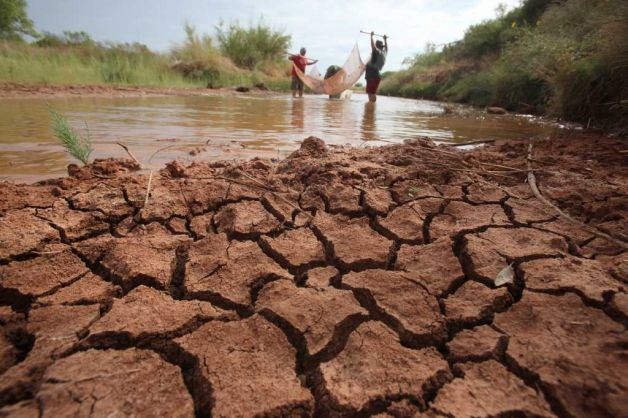 A team of aquatic biologists use a net to collect endangered fish from the Double Mountain Fork of the Brazos River in a rural area just west of Sagerton, Texas, Friday, Sept. 16, 2011. The team from Texas Tech and the Texas Parks and Wildlife Department are collecting two species of minnows from the shrinking waters of the West Texas river that have stopped flowing due to the worst drought in decades, therefore, impeding the fish's ability to spawn. LM Otero / AP
