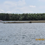IMG_5545.JPG