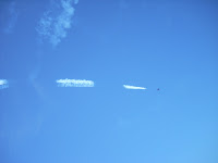 DSCN0220.JPG