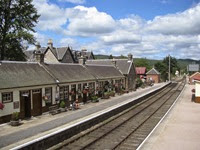 IMG_1247 IMG_1247