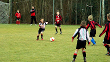 2012 - 25 FEB - WVV E5 - WVV F1 030.jpg