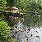 IMG_5595.JPG
