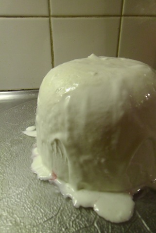 [PICT0007%255B3%255D.jpg]