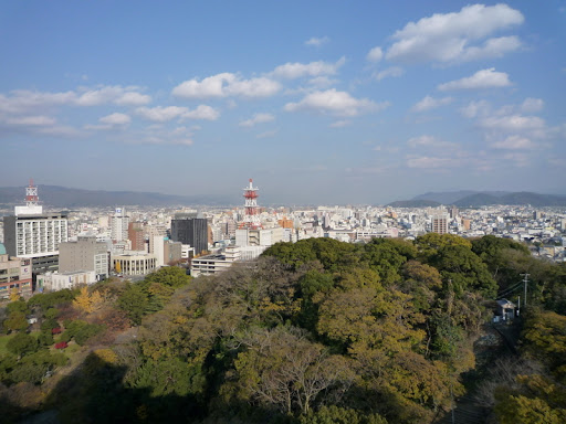 p10104751