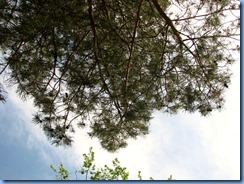 IMG_4467 IMG_4467