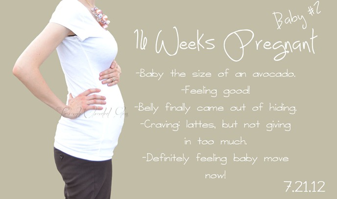 Four Months Pregnant (Baby #2) | Through Clouded Glass