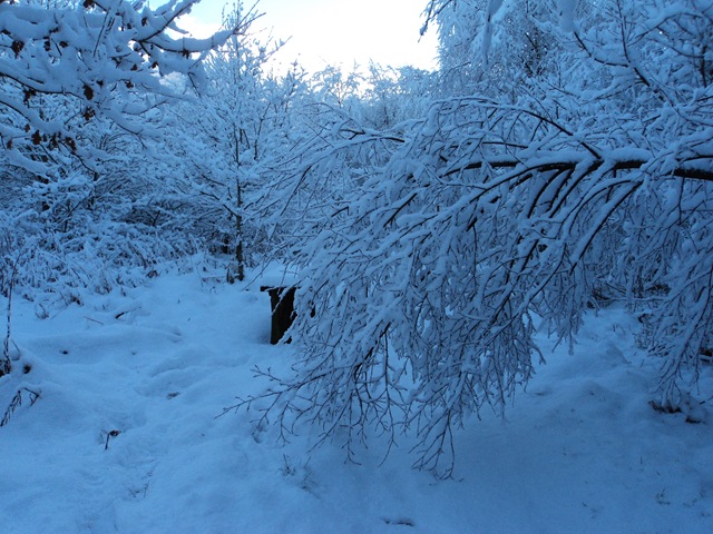 [DSC02797%255B3%255D.jpg]