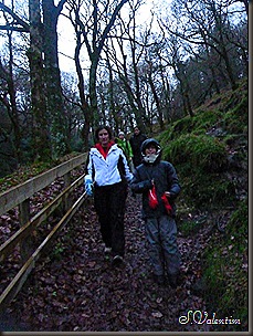 P1120489 P1120489