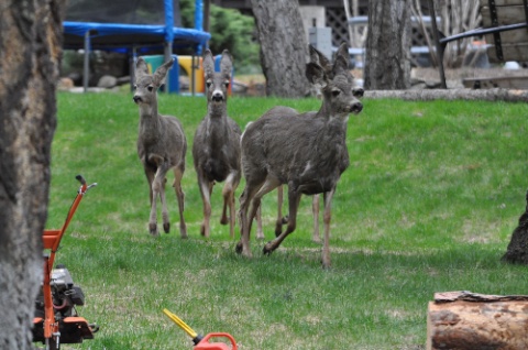DSC_0070.jpg DSC 0070