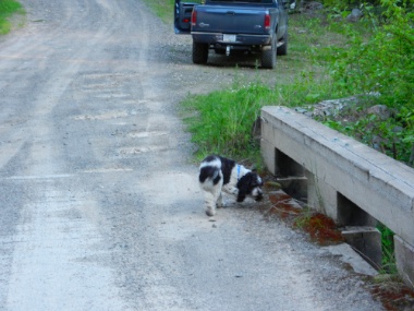DSCN9159.jpg DSCN9159