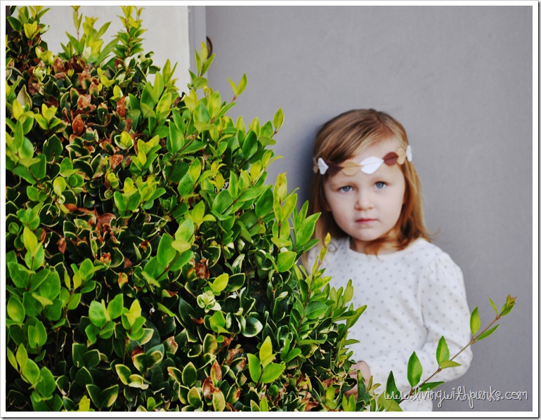 DSC_0794 DSC_0794