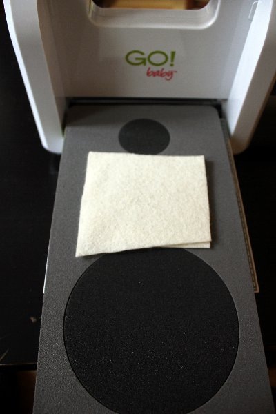[IMG_0647_400x600%255B6%255D.jpg]