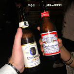 drinking budweiser and lowenbrau in roppongi in Roppongi, Japan 