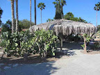 Palapa