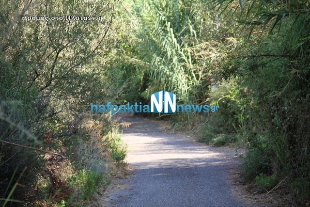 IMG_2499.jpg