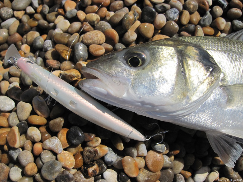 [IMG_1590%255B12%255D.jpg]