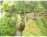Patio/Deck Patio/Deck