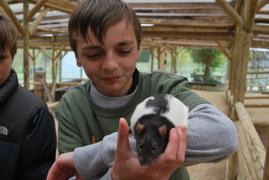 [DSC_0099%255B4%255D.jpg]