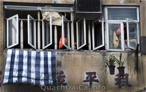 Quach Dai Ca