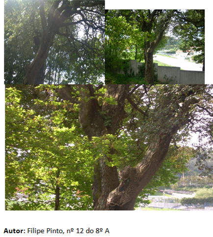 [image%255B71%255D.png]