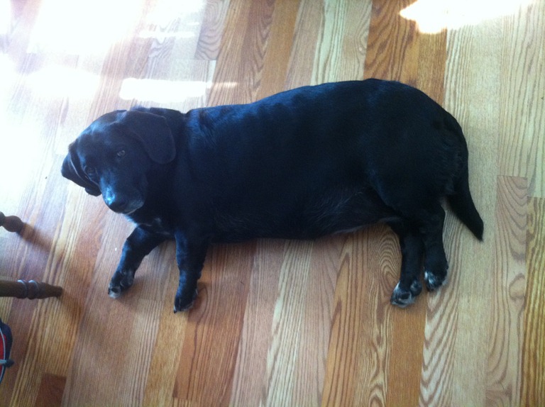 [IMG_0441%255B4%255D.jpg]