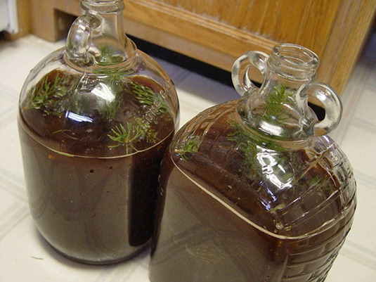 [91c9351937e64129992d99b9ba83129b_spruce_beer%255B4%255D.jpg]