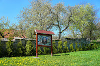 P1100201.JPG Photo