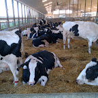 IMG-20120623-00013.JPG