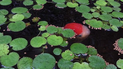 2014-07-10 07.52.55.jpg