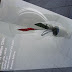 R0028103.JPG
