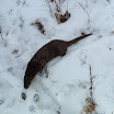 DSCF0018.JPG