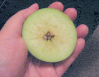 Apple Science Apple Science