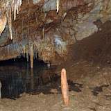 DSC_7114.JPG