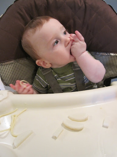 8-month-old Simon loves turnips! 8-month-old Simon loves turnips!